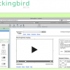 Haciendo prototipos rápidos de Aplicaciones Web con MockingBird
